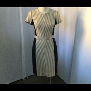 J CREW Fitted Knit Short Sleeve Dress
